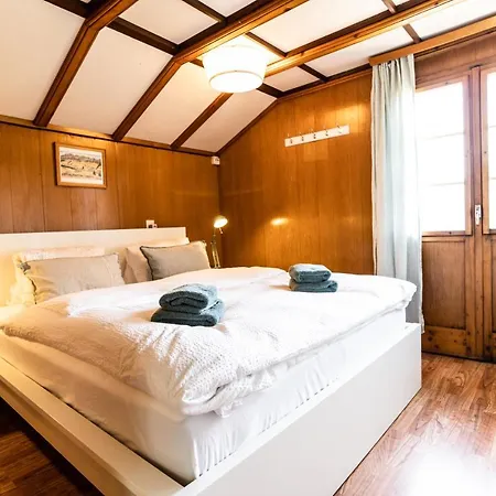 Ferienhaus Bürcher, Riederalp Moosfluhbahn